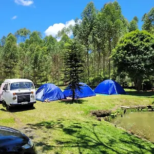 https://sitio-oma-elvira.santa-catarina-brasil.com